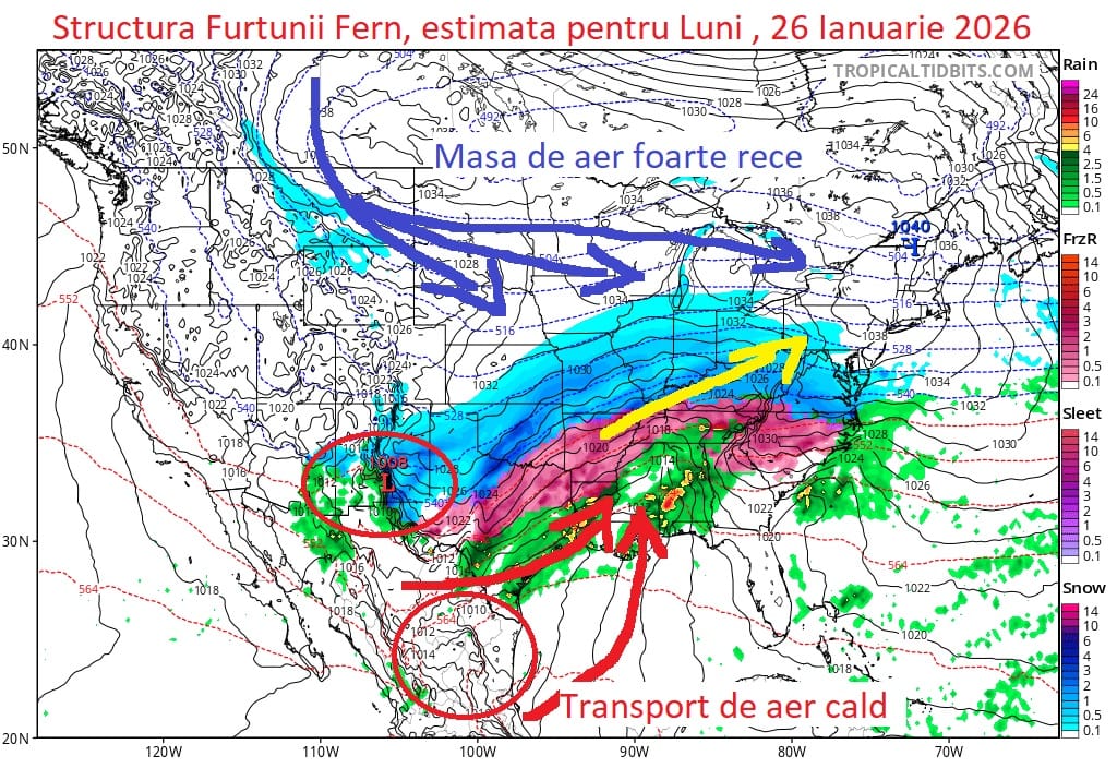 Fern va lovi America