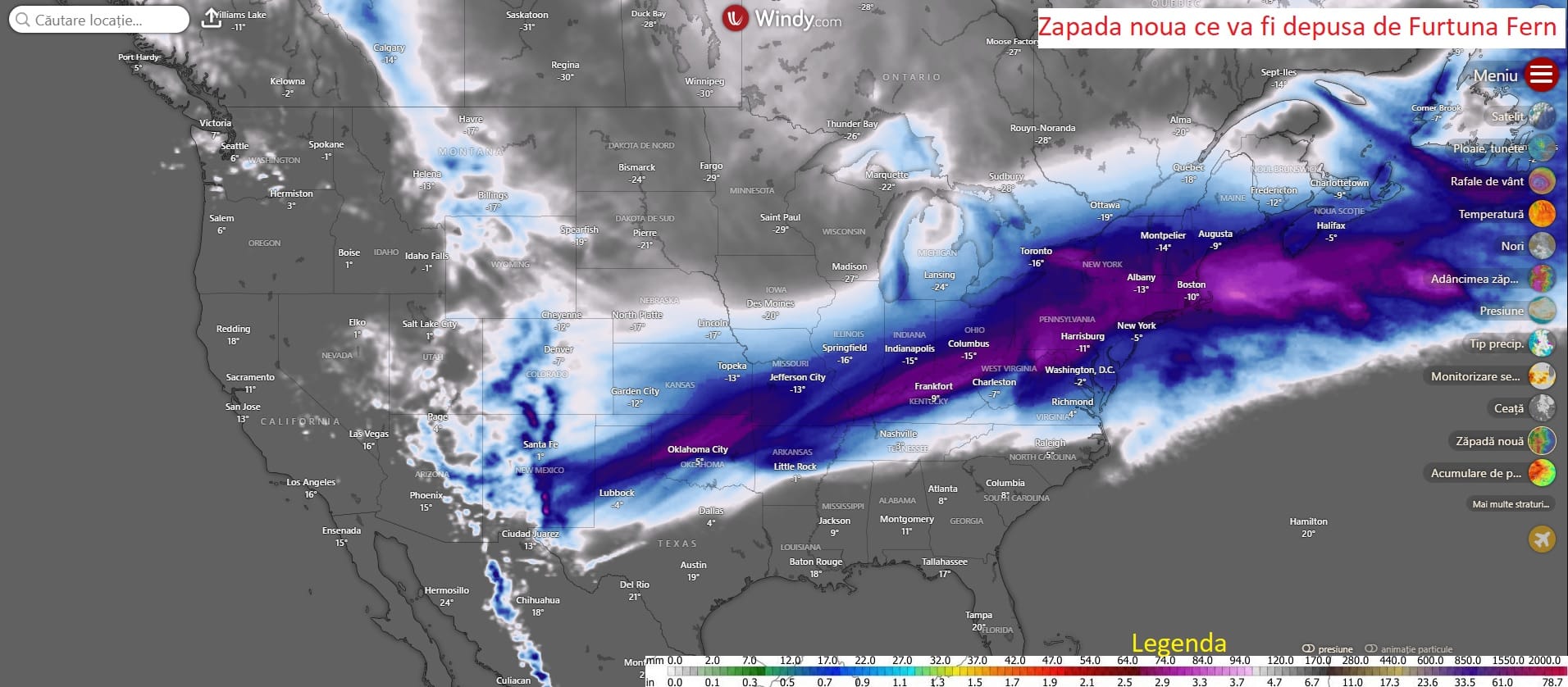 Fern va lovi America
