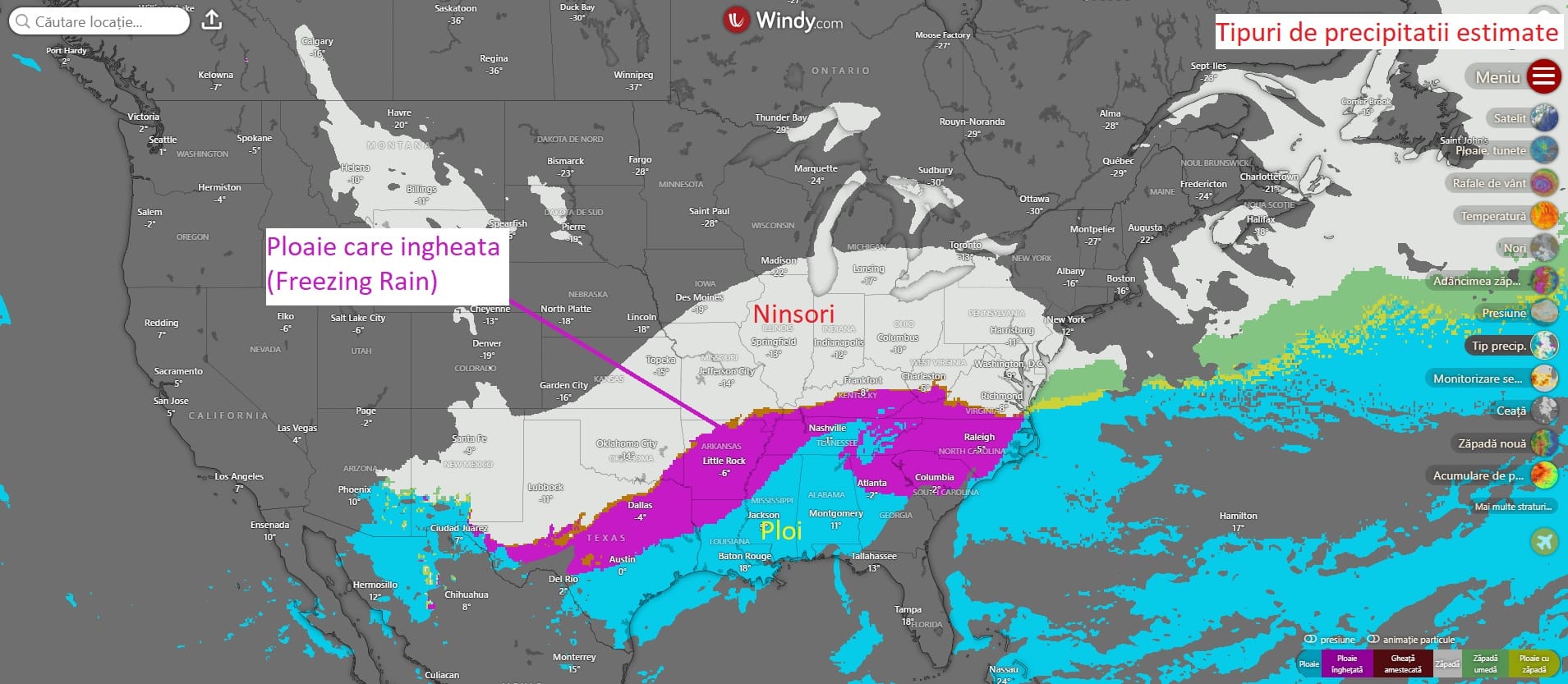 Fern va lovi America