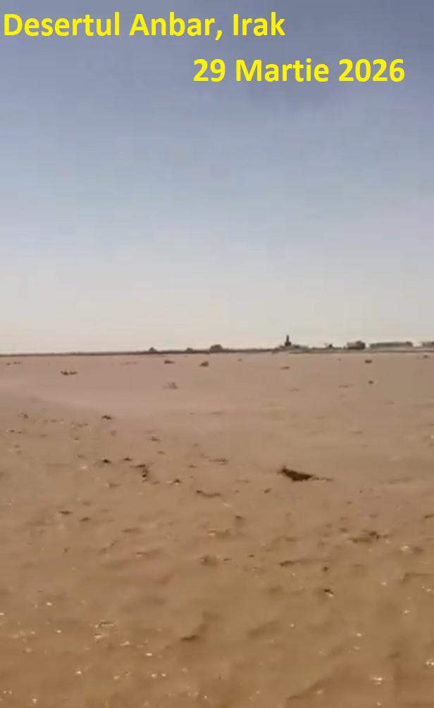 Inundatii in desertul arab
