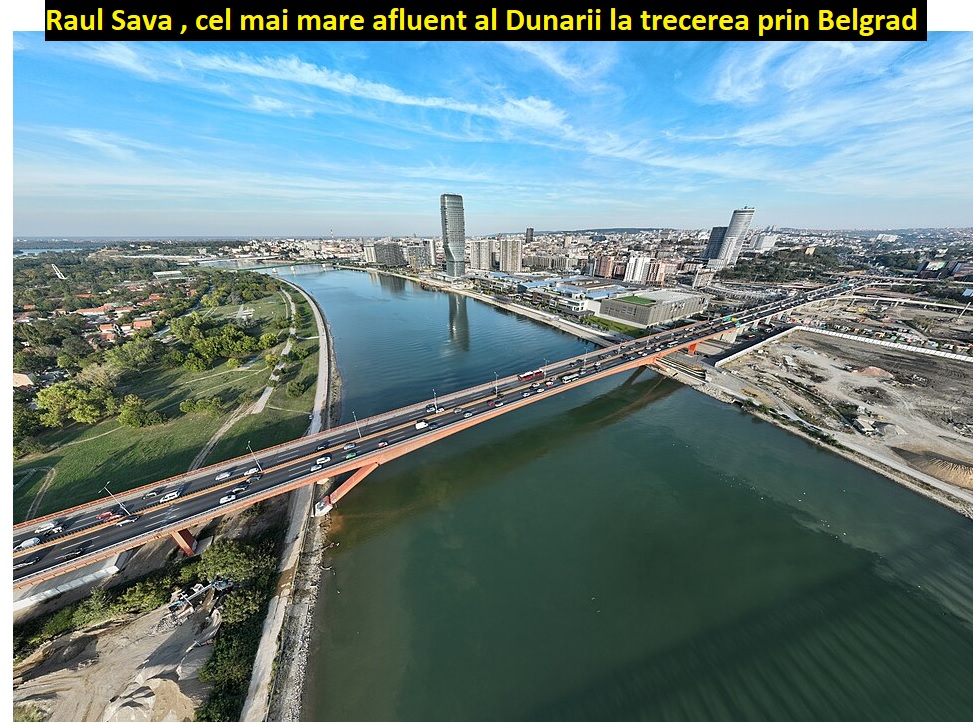 Raul Sava la trecerea prin Belgrad
